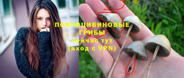 mdpv Армянск