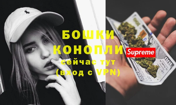 молекула духа Нягань