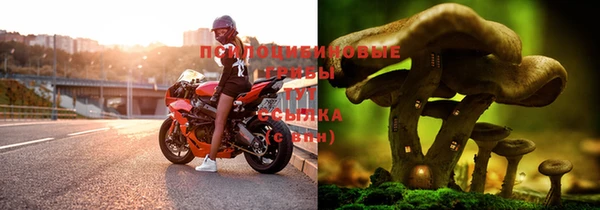 мет Арсеньев